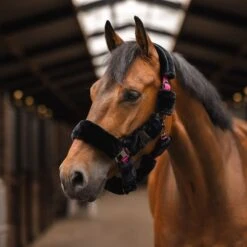 Horze Smoky Twilight Comfort Fleece Halter - Caviar Black -Kensington Shop 698794 800 800