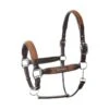 B Vertigo Evolve Leather Halter W/Braided Accents - Leather Brown