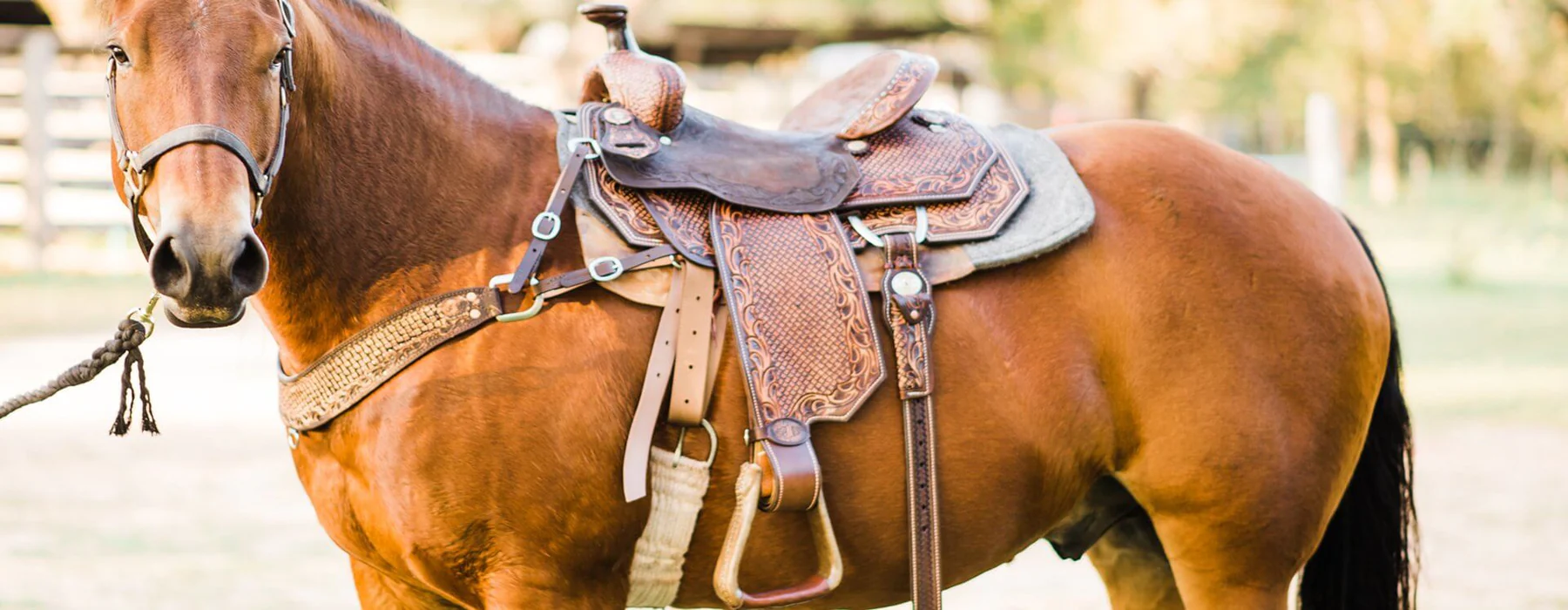 Front Page -Kensington Shop banner539