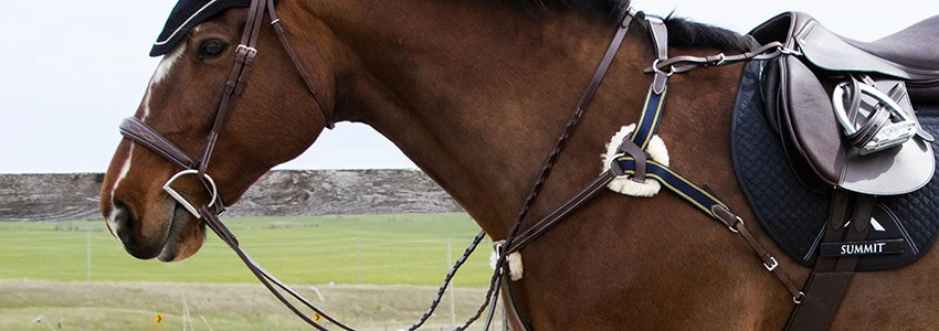 Front Page -Kensington Shop banner669