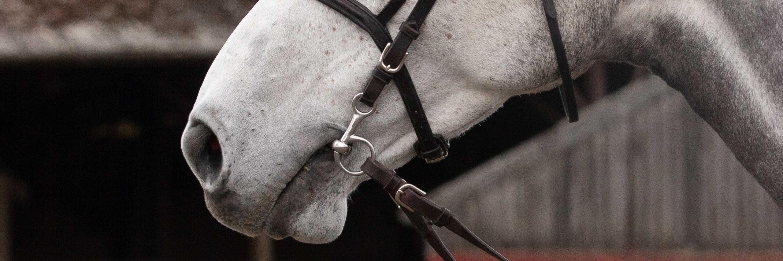 Front Page -Kensington Shop banner670 scaled